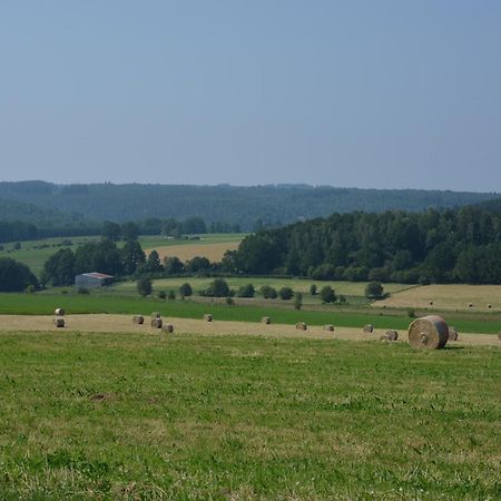 Lovely Holiday Home In Daverdisse With Terrace Zewnętrze zdjęcie