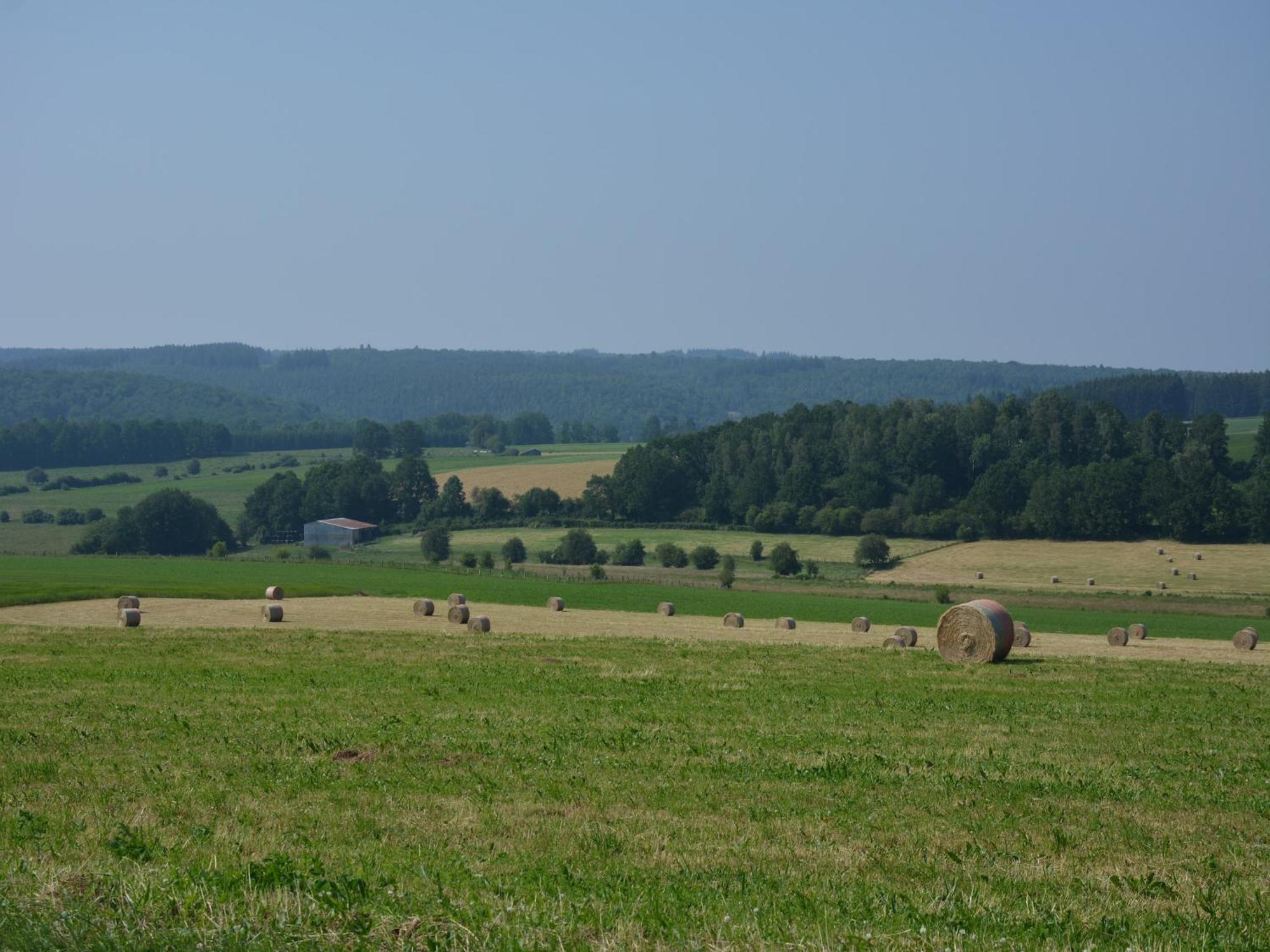 Lovely Holiday Home In Daverdisse With Terrace Zewnętrze zdjęcie