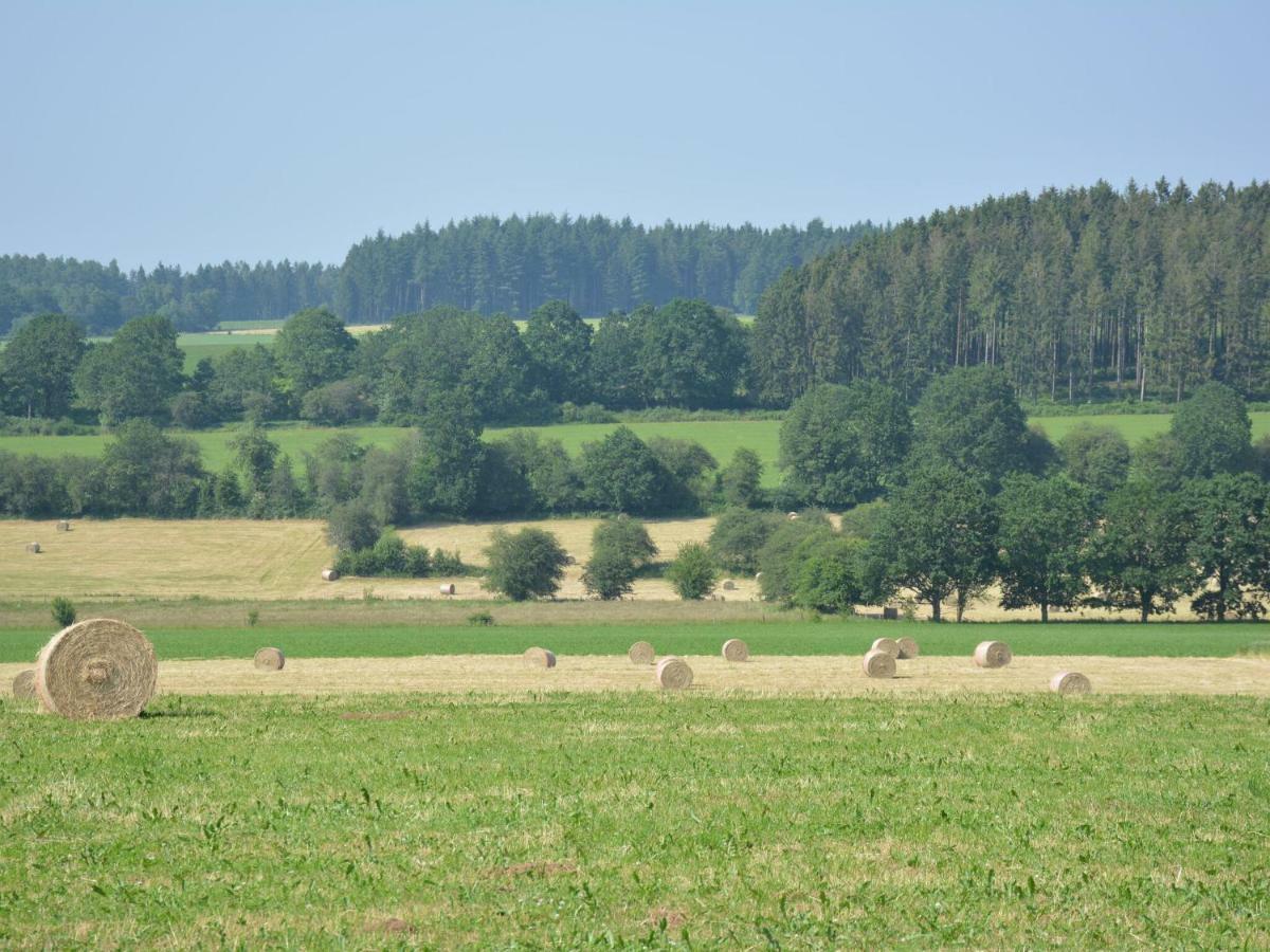 Lovely Holiday Home In Daverdisse With Terrace Zewnętrze zdjęcie